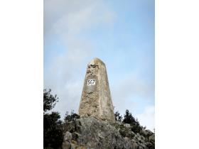 photo coins arrondis